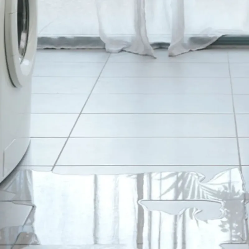 Appliance Leak Cleanup in Brackettville, TX