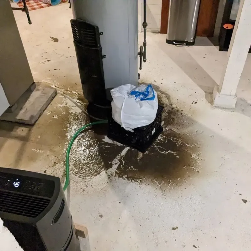 Sewage Backup Cleanup Service in Brackettville, TX